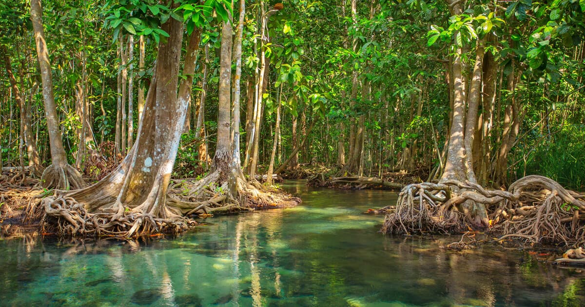 Фото из тура 5