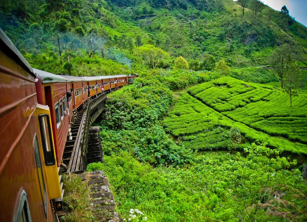 Фото из тура 4